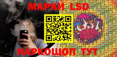 стафф Нальчик