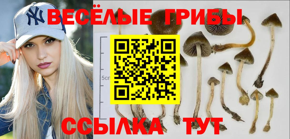 Галлюциногенные грибы мухоморы Родники