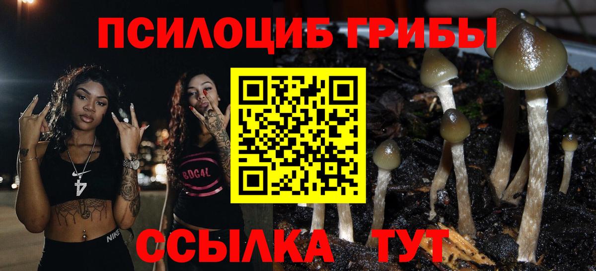 Родники  Псилоцибиновые грибы ЛСД  Вход с VPN 
